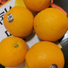 攸竹美国新奇士橙黑标3107脐橙新鲜进口Sunkist甜橙子当季水果礼盒 3斤尝鲜装【单果200g+】 实拍图