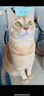 玫斯猫粮（metz）幼猫/成猫猫粮猫全猫粮增肥奶糕英短美短全价美毛 猫粮试用装（随机口味50克） 实拍图