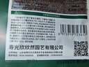 寿禾 北京新三号大白菜种子苗夏秋蔬菜籽 潍育北京新三号白菜种子10g 实拍图