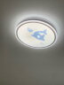 雷士（NVC） led儿童卡通男孩女孩房灯 可爱动物造型吸顶灯卧室灯  简约时尚 力荐！24瓦蓝色 小鲸鱼 实拍图