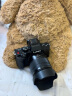松下G100DM微单相机 Panasonic 数码相机vlog相机 微单套机12-60mm 4K视频 专业收音 美肤自拍 实拍图