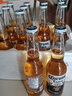 科罗娜啤酒墨西哥原装啤酒Corona精酿啤酒 Corona 355mL 12瓶 26年6月14日到期 实拍图