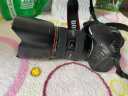 佳能/Canon EF 24-105mm全画幅红圈广角变焦单反镜头 微单标准人像防抖镜头 二手镜头 95新 EF 28-70/F2.8 USM 标配 晒单实拍图