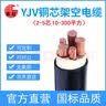 国超电缆YJV-0.6/1KV-5*16铜芯国标架空户外防老化5芯电力电缆 1米【现货】 实拍图