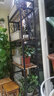 金羡花架阳台实木多层多肉绿萝室内花架子大盆景落地式铁艺花盆架带轮 四层长80*宽30*高180黑架+碳烤木 实拍图