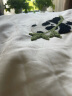 博洋家纺60支新疆长绒棉四件套纯棉床单被套ins风全棉套件150cm 晒单实拍图