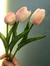 塔洛克（tulloch）郁金香假花仿真花摆设房间卧室客厅家居装饰餐桌摆件干花永生花束 3朵粉白色 实拍图