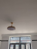唯色 风扇灯隐形吊扇灯家用餐厅客厅卧室餐桌带电扇一体吊灯现代简约 48寸强风扇叶-银色 变频遥控 实拍图