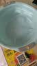 汉世刘家 洗脸盆家用洗衣盆双耳加厚壁挂大盆洗菜学生宿舍塑料盆洗脚盆子 防滑中号35CM提手盆天蓝 实拍图