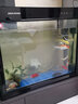 闽江（minjiang）鱼缸水族箱免换水生态造景金鱼缸客厅屏风中大型玻璃龙鱼缸金鱼缸 黑色（礼包+升级过滤） 长80*宽30*高69（缸体不含柜） 实拍图