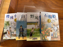 曹文轩纯美小说：石榴船[7-14岁]/曹文轩新长篇儿童文学力作/名师推荐四五六年级课外阅读/探讨教育问题和师生关系/关注孩子心灵成长/歌颂真善美 课外阅读 暑期阅读 课外书 实拍图