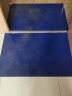 可撕式防静电粘尘垫 除尘胶垫无尘实验室车间蓝色脚踏地垫 60*90cm/300片 晒单实拍图