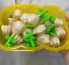 周十五益生菌蜂蜜露孕妇外用开塞蜜露哺乳期产后待产包用品儿童蜂蜜栓 【便携小粉盒】音符管独立包 10支*1盒 实拍图