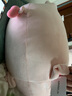 名创优品（MINISO）小猪B-BO系列趴姿毛绒玩偶公仔布娃娃抱枕猪毛绒玩具女孩午睡枕可 小猪B-BO（37*23CM） 实拍图