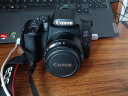 佳能/Canon EF 50 1.8 II STM 501.4 USM 二手单反小痰盂定焦人像镜头 9新 佳能 EF 50mm f/1.8 II 实拍图