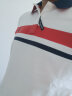哈吉斯（HAZZYS）男装 夏装时尚短袖POLO衫新疆棉ASTZE02BF64 白色WT 175/96A 48 晒单实拍图