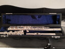 星海（XINGHAI INSTRUMENT）镀银长笛乐器17孔开孔C调长笛专业演奏B尾管乐 成人教学儿童考级 17孔C调白铜 实拍图