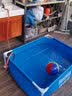 Bestway游泳池成人儿童戏水池户外别墅折叠水池大型家用游泳池养鱼池 1.2米免充气折叠水池|浅蓝色|5615D 实拍图