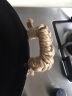 中梦  麻绳麻绳DIY手工绳子天然粗细麻绳工艺装饰品吊牌捆绑绳 5mm粗20米 实拍图