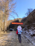 鲁滨逊 碳纤维折叠登山杖 超轻五节杖 碳素拐杖徒步手杖爬山装备 鲁小东紫色（长款115-135） 实拍图