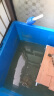 HANYANG换水器小鱼缸专用180cm带刮藻鱼缸固定夹洗沙器吸便器虹吸管 实拍图