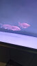 燕之雁 鱼缸6合1清洁套装 内含鱼缸刷 刮藻刀 大小捞鱼网 砂砾耙 水草夹 晒单实拍图