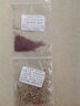 四季开花花种子 阳台室内植物盆栽套餐绿植花卉花草易活种籽 奶油草莓100粒懒人盆套餐 实拍图