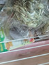 草先生（MR.HAY）磨牙用品兔子天竺鼠荷兰猪龙猫磨牙食品磨牙苜蓿草饼草球草砖草块 普编提摩西草球8CM 实拍图