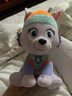 汪汪队立大功（PAW PATROL）汪汪队玩具毛绒全套狗狗玩偶公仔男女孩玩具旺旺队新年礼物 经典款-珠珠公仔【需选尺寸】 中号-坐或站高约17~22.9CM 实拍图