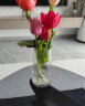 墨斗鱼玻璃条纹花瓶1816田园家居摆件现代简约插花花器餐厅桌面装饰花瓶 实拍图