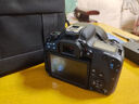 佳能/CANON  80D 60D 70D 77D 50D 90D 半画幅 二手单反相机 佳能77D+50 F1.8 STM 小痰盂 95新 实拍图