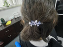 张太太时尚发饰 合金水钻边夹发卡蝴蝶发夹顶夹刘海卡子头饰B176 紫色 实拍图