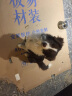 养犬训犬与犬病防治+宠物狗驯养技术+图解狗 宠物犬家庭护理美容养狗书籍饲养训狗教程书籍 实拍图