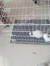 宠趣汇兔笼子大号防喷尿家用免安装兔子笼兔子窝带厕所荷兰猪豚鼠笼子 中双层白【68*49*58】防喷尿 实拍图