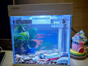 森森桌面鱼缸生态玻璃小型懒人免换水家用缸鱼缸一体缸自循环 【升级超白】250+溪流真水溶（带滤材滤棉） 实拍图