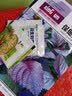 紫苏种子可食用蔬菜大叶野菜紫苏庭院阳台盆栽大棚四季种植菜种子 紫苏种子【2包 约600粒】 实拍图