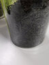 天福茗茶  毛尖绿茶 湖北原产绿茶茶叶春2025新茶 300G袋装 实拍图