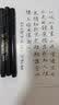 秀丽笔软笔练字专用钢笔式毛笔 日常书写签字笔 绘画勾线笔 小学生成人字帖笔可加墨水 3支(极细+小楷+大楷)送墨水 实拍图