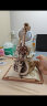 若客（ROKR）秘境大提琴木质八音盒音乐盒积木拼装玩具模型520情人节礼物女 大提琴&小提琴 实拍图