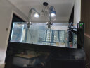 德克（D&A）南美原生态野采造景溪流缸鱼缸客厅落地靠墙 超白玻璃 底滤水族箱 爵士黑（筒灯款） 120x50x125cm 晒单实拍图