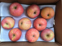 佳农 烟台红富士苹果 5kg装 特级果 单果重约240g 新鲜水果 生鲜礼盒 晒单实拍图