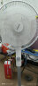 康佳（KONKA）电风扇七叶柔和轻音大风量落地扇家用风扇节能低噪电扇广角摇头 KF-L17D(升级款） 实拍图