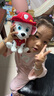 汪汪队立大功（PAW PATROL）汪汪队玩具毛绒全套狗狗玩偶公仔男女孩玩具旺旺队圣诞礼物 7只经典款-小号毛绒 小号-坐高约15.2CM 实拍图