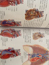 人体解剖学结构和功能图谱 肯阿什威尔著马超译 人体解剖学图谱全彩解刨速记医学生用书医学人体结构图谱基础医学书 江苏凤凰科技出版 实拍图