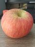 新疆特级阿克苏苹果5kg礼盒 单果200-260g  生鲜水果 年货礼盒 新老包装随机发货 晒单实拍图