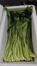 辰实云南大香菜 德宏缅芫荽 刺芫荽 傣族傣味香料 新鲜蔬菜 1000g【新鲜云南大香菜】 实拍图