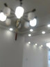 灯尉仕 新中式客厅吊灯中国风餐厅简约大气卧室灯古典家用别墅灯具套餐 客厅15头套餐10-三室两厅 实拍图