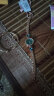 金米欧（KIMIO） 手表女学生时尚日韩简约品牌国表ins风森系女士女款防水气质六芒星手链表女 玫金蓝 晒单实拍图