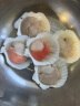 獐子岛 冷冻半壳虾夷扇贝 净重350g/袋 6只 烧烤食材 海鲜生鲜 轻食 晒单实拍图