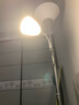 好莱仕 落地灯客厅卧室简约LED现代装饰书房多功能子母立式灯美容冷暖光灯纹绣纹眉灯具 子母灯配两个3WLED暖光 实拍图